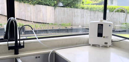 Life Changing Solution - Dual Handle Kitchen Tap