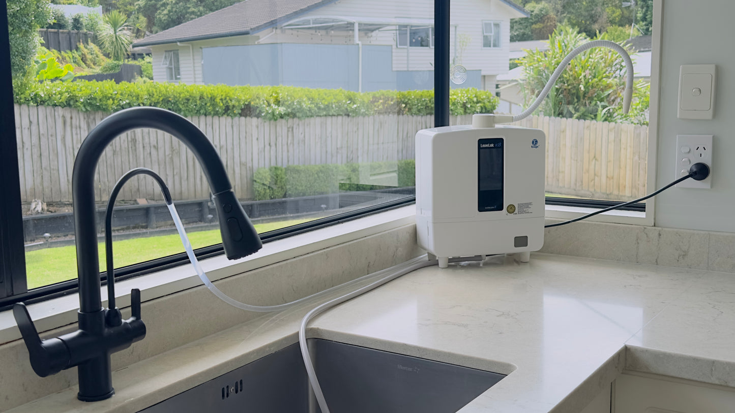 Life Changing Solution - Dual Handle Kitchen Tap