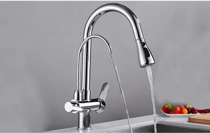 Life Changing Solution - Dual Handle Kitchen Tap