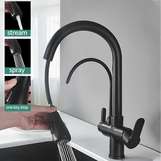 Life Changing Solution - Dual Handle Kitchen Tap