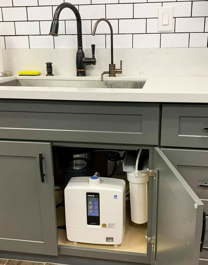 Under Bench Ionizer Faucet 04 - Matte Black